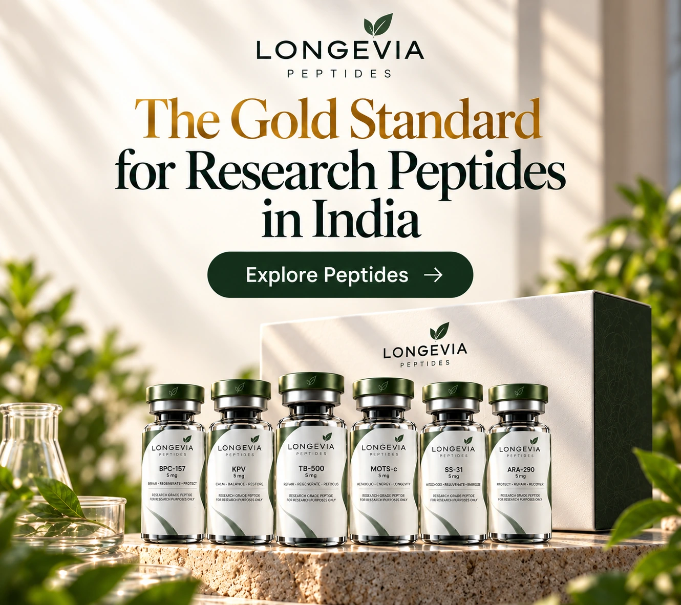 Longevity & Cellular Health